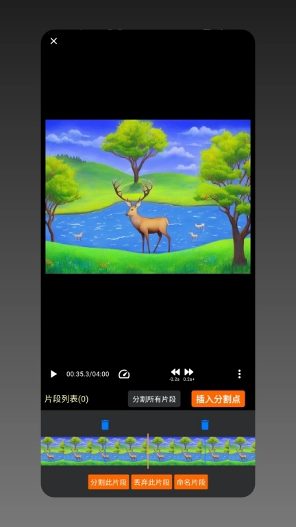 视频分割专业版