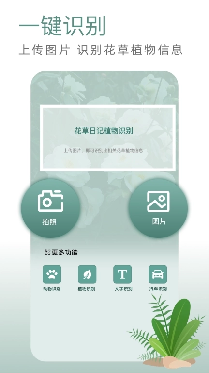 神农世家-养花护花