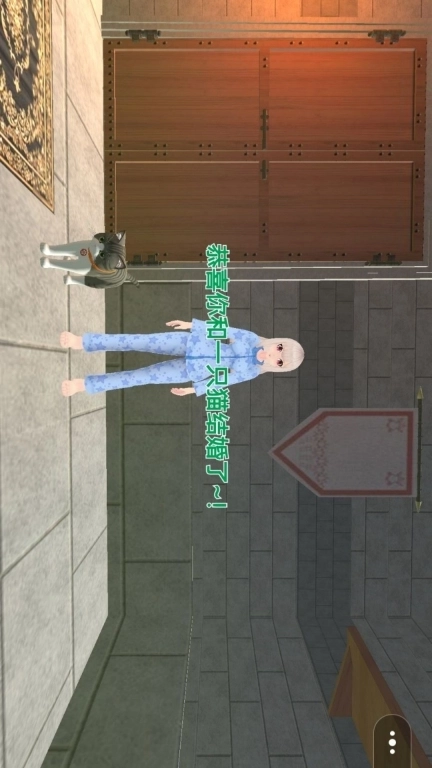 房客小姐姐-一碰到就结婚