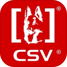 CSV
