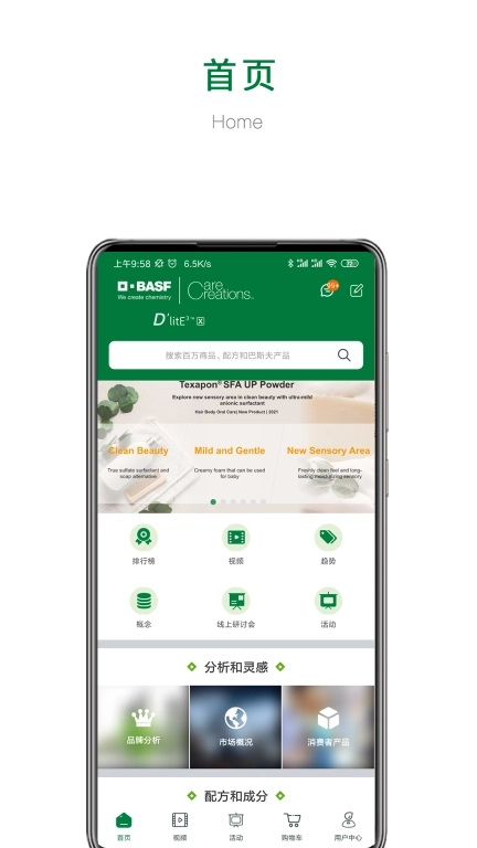 BASF D&rsquo;litE3-X