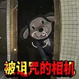 看不到的真相-被诅咒的相机