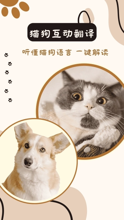 猫狗互动翻译