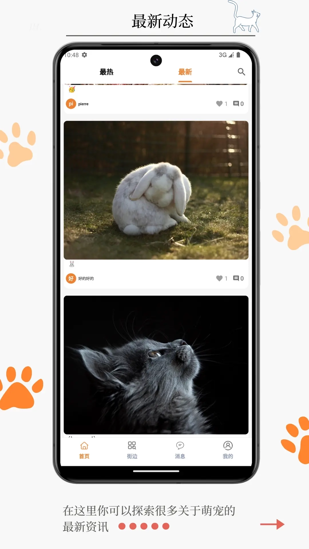 宠物街-宠物街区