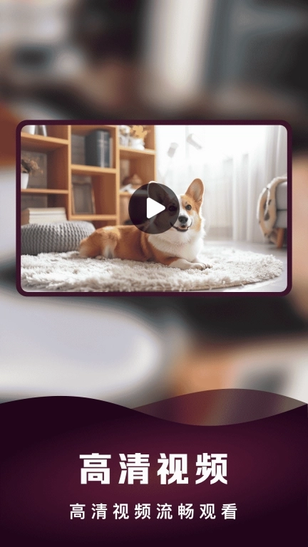隐私高清播放器