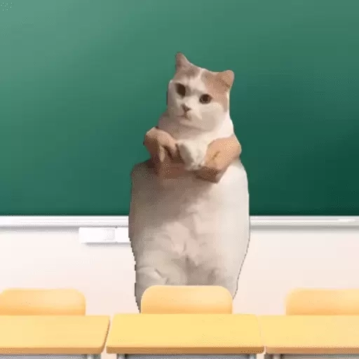 真正的烧脑-提子无悔