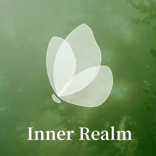 心领域-显化计数器