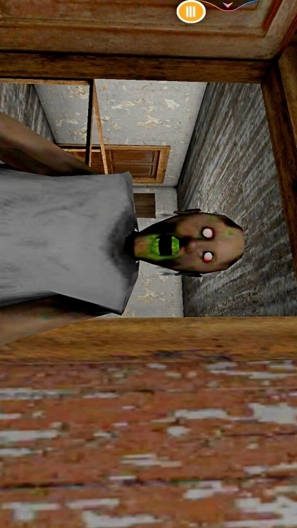 恐怖祖母-我的恐怖奶奶