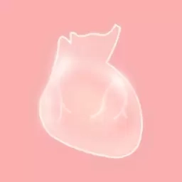 左右脑补王-人体模拟器