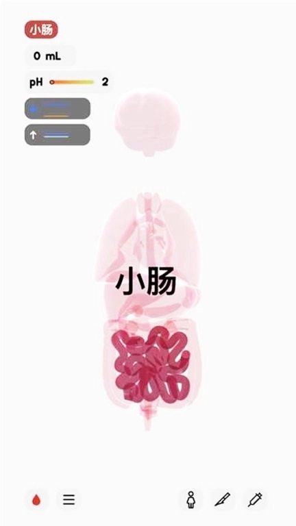 人体细胞模拟器-生命life