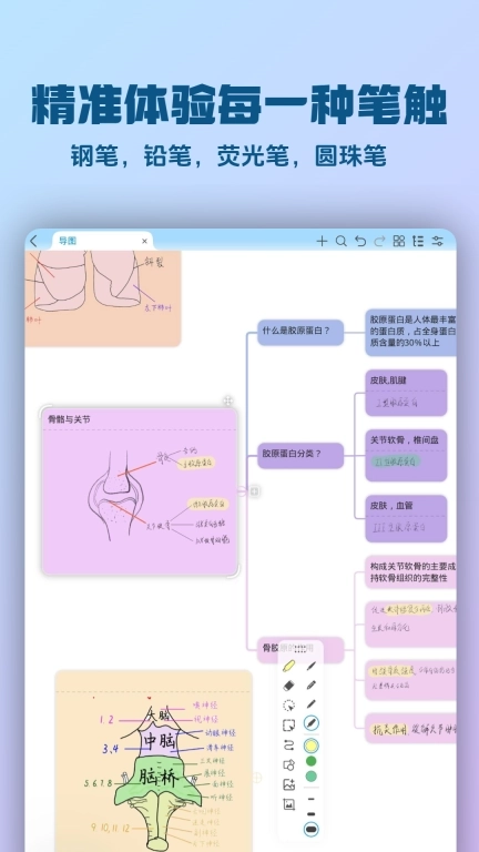 Mindhive思维导图-手写思维导图