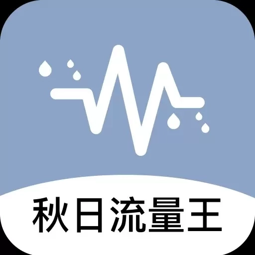 秋日流量王-免费网络流量监控卫士