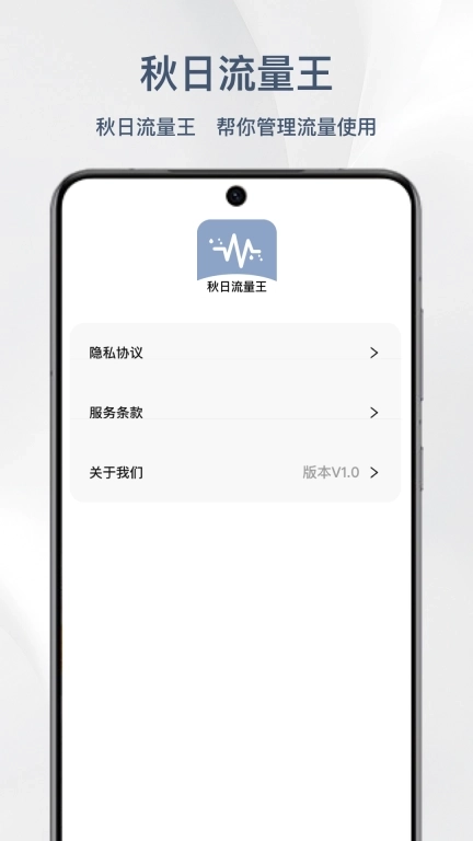 秋日流量王-免费网络流量监控卫士