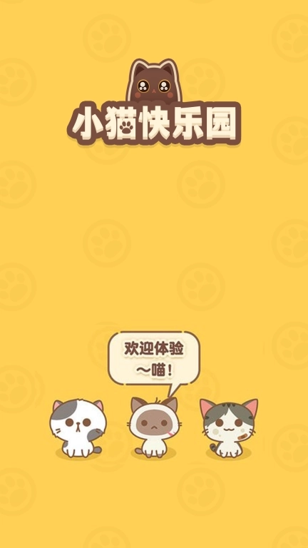 小猫快乐园