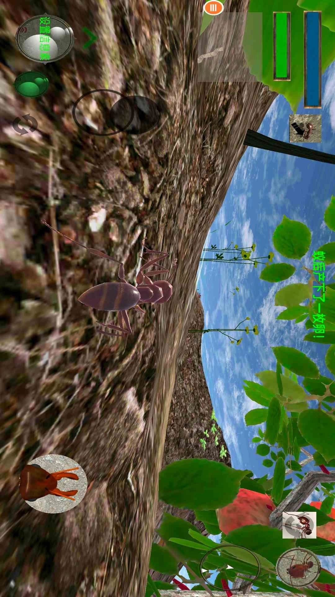蚂蚁模拟器3D