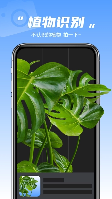 识图相机-拍照识图