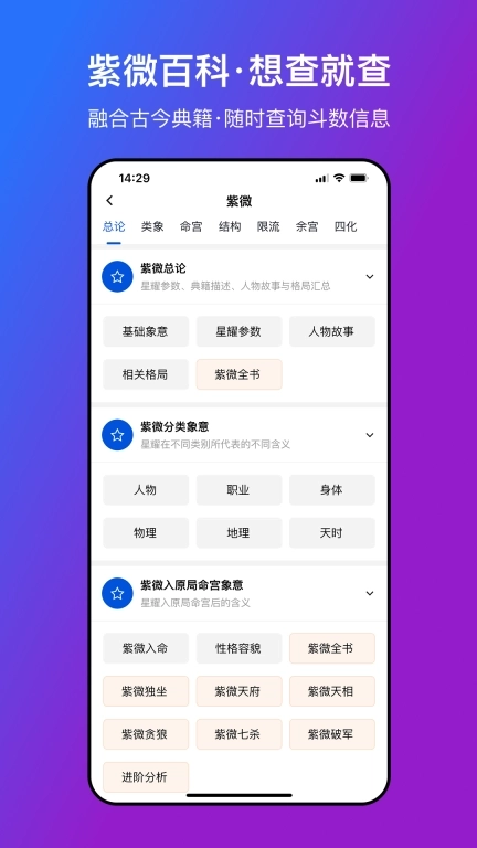星理-紫微斗数排盘工具