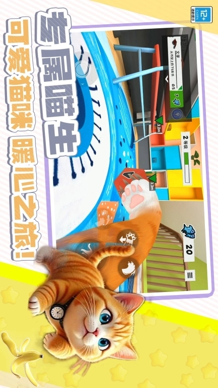 躲猫猫魔性派对-我是大猫猫