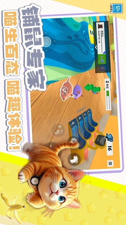 躲猫猫魔性派对-我是大猫猫