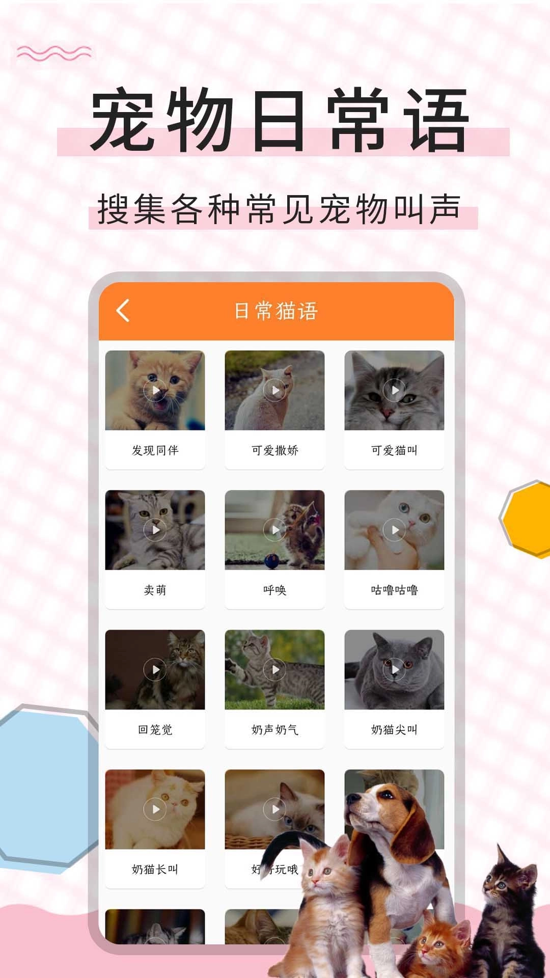 猫语翻译宝