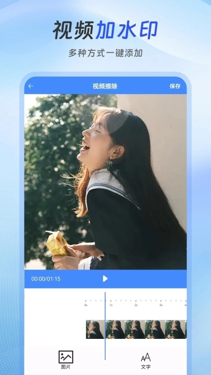 去水印Lab-视频去水印