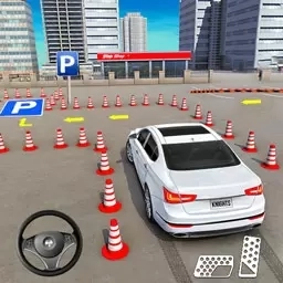 驾校停车模拟器-真实停车驾驶模拟