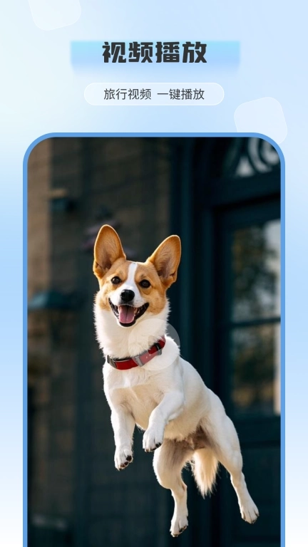 电视投屏全能王-电视助手