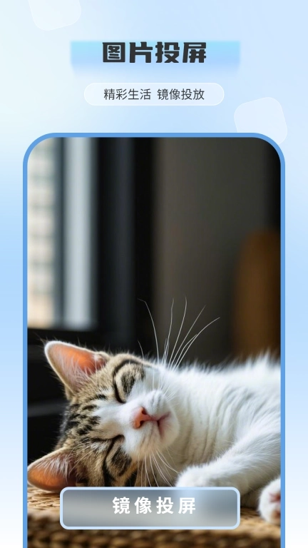 电视投屏全能王-电视助手