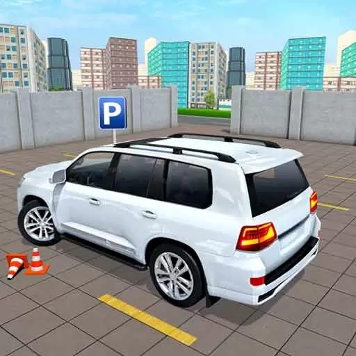 写实停车技巧王-真实停车