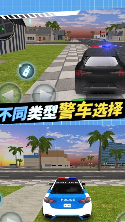 警察抓捕行动-红蓝警戒线