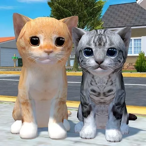 猫咪城市探索行