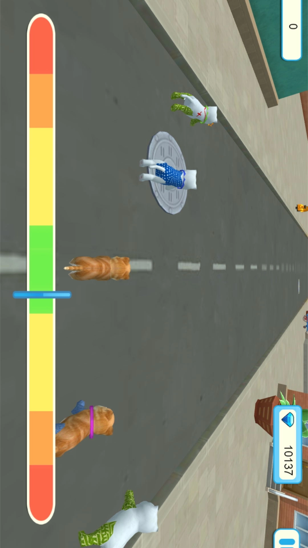 猫咪城市探索行