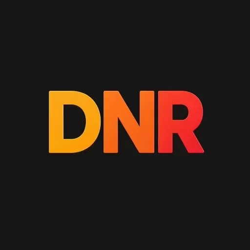 DNR视频速取宝