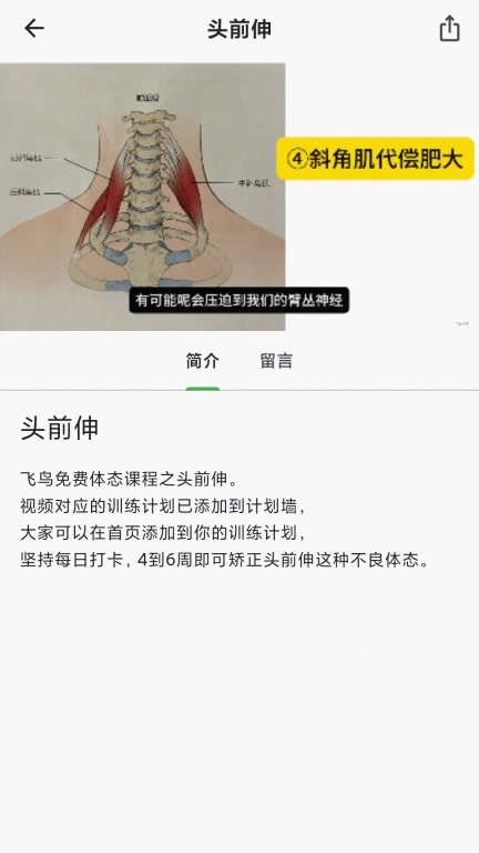 小鸡体态课-每日体态矫正打卡