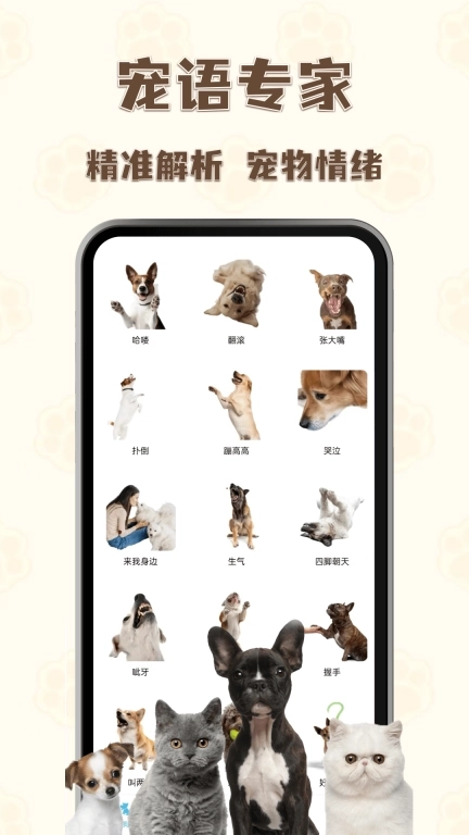 猫狗语言翻译王