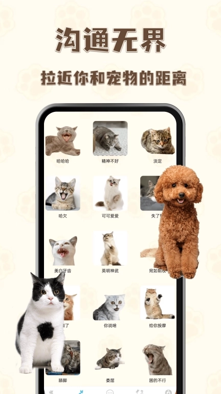 猫狗语言翻译王