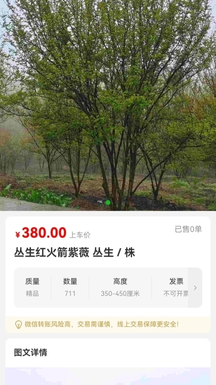 成渝花木交易网