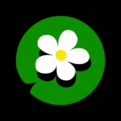 囱彩色彩-配色和色彩分析