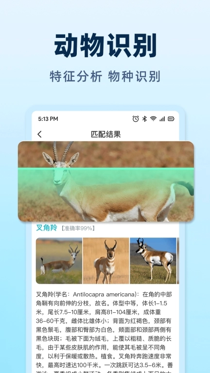 AI挑瓜-拍西瓜吃好瓜