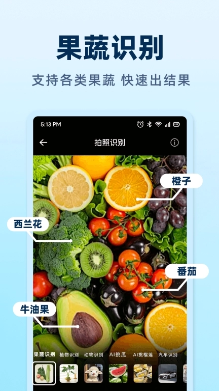 AI挑瓜-拍西瓜吃好瓜