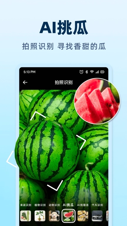AI挑瓜-拍西瓜吃好瓜