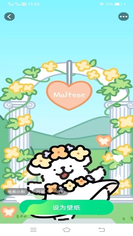 天天免费换壁纸