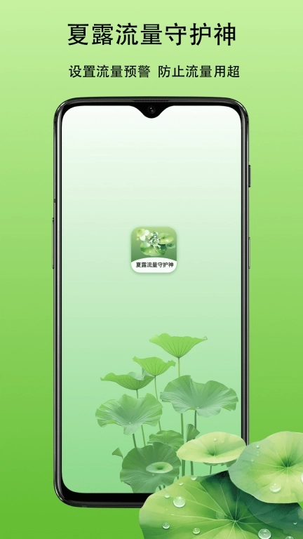 夏露流量守护神