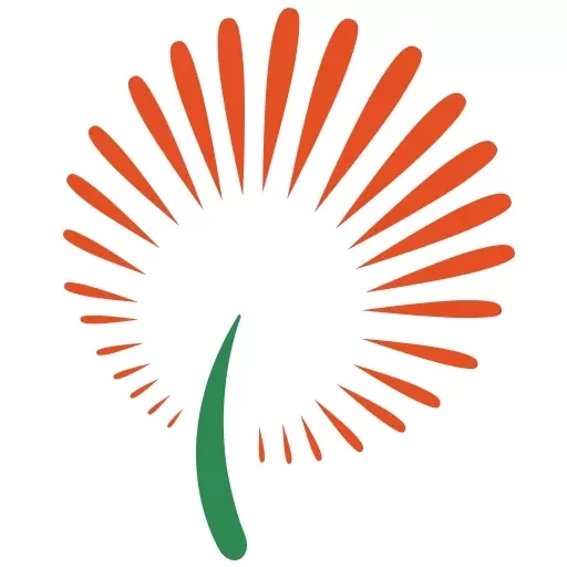 山东文明实践行动