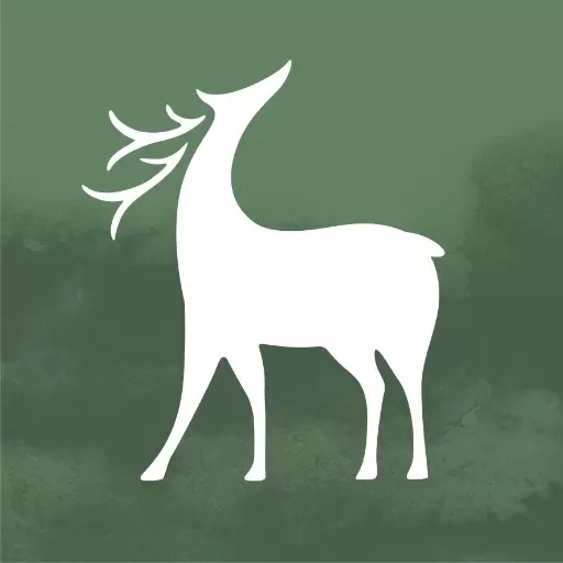 鹿隐云艺-书画艺术自习研修平台