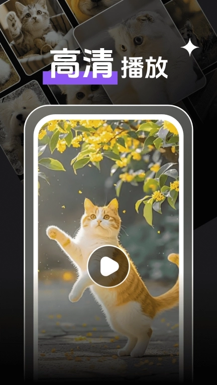 即刻观影播放器player-视频播放器