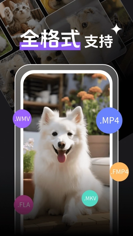即刻观影播放器player-视频播放器