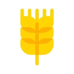 小麦刷题-医疗备考