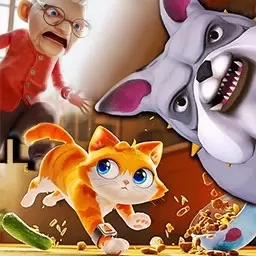 奶奶贴心小猫-我是猫