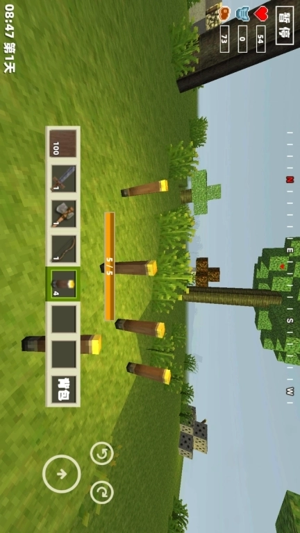 像素开放大世界